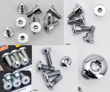 BREMSSCHEIBENSCHRAUBEN FÜR V-ROD